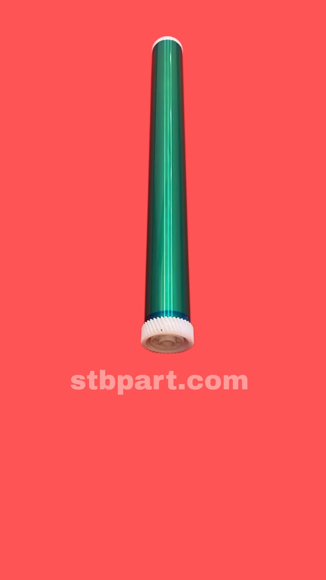 WhatsApp Image 2026 08 11 at 1.16.50 PM