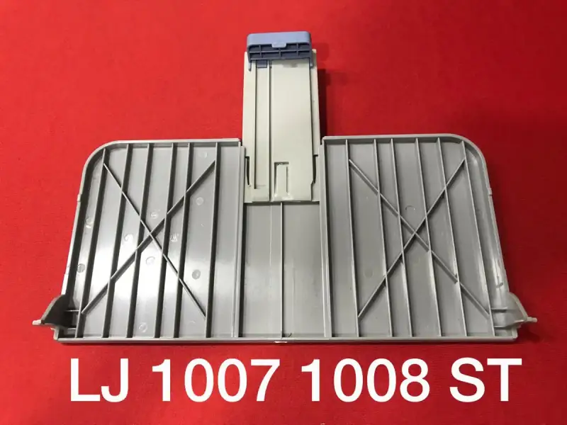 P1007 (2)